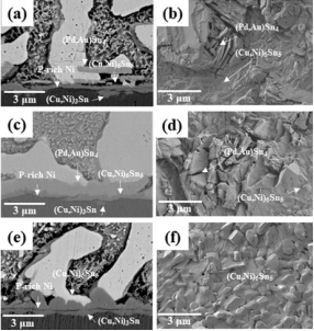 110℃老化100小時(shí)的焊點(diǎn)SEM圖。