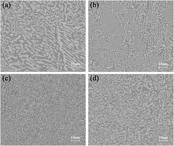 1679290086851363.jpg 1679290086851363.jpg